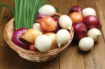 Is onion an herb, spice, or vegetable? (Quick Facts)