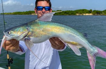 can-you-eat-saltwater-catfish