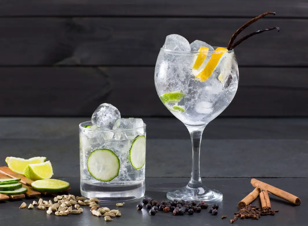 what-does-gin-taste-like-quick-facts-the-trellis-home-cooking