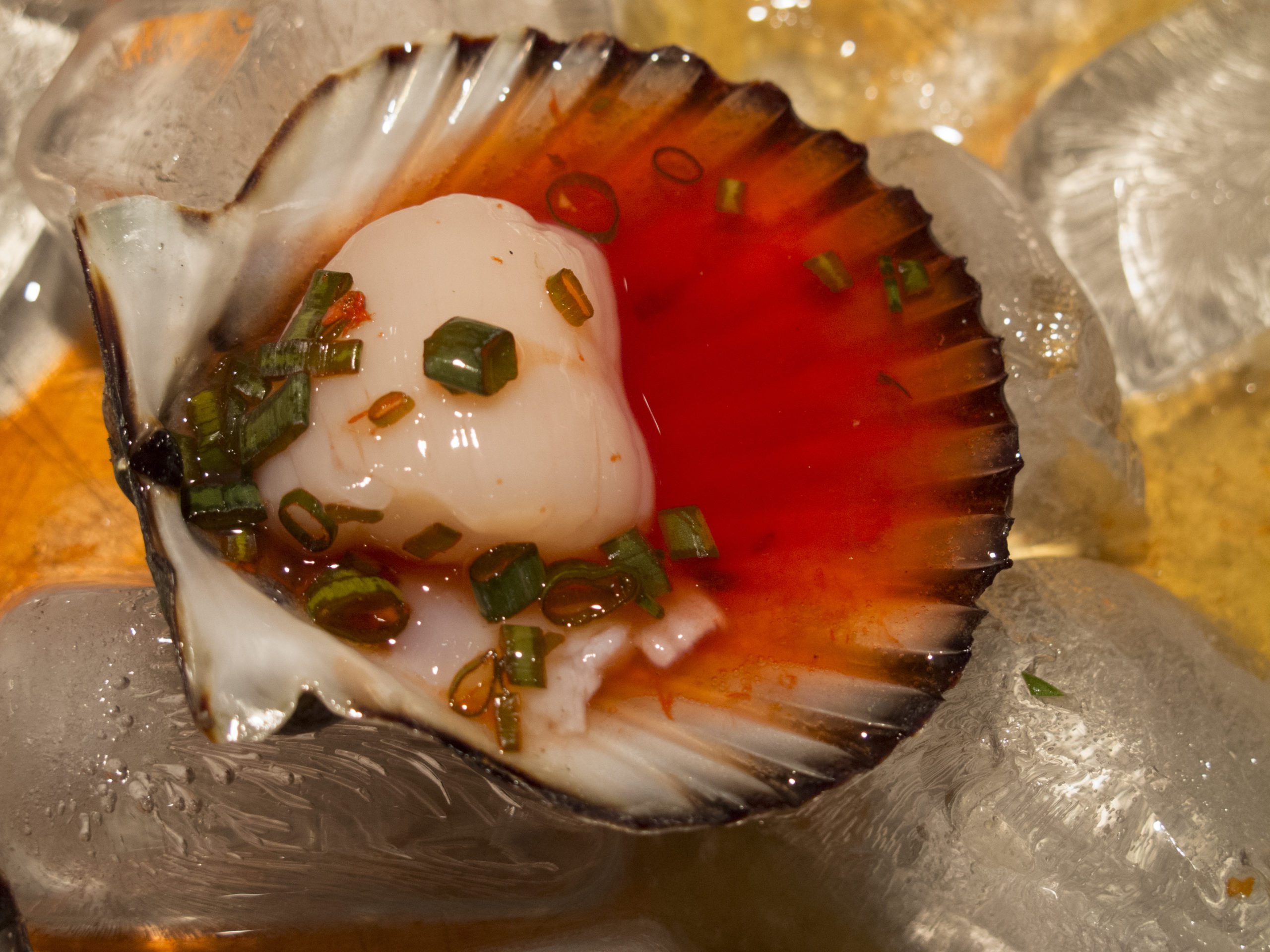 can-you-eat-scallops-raw