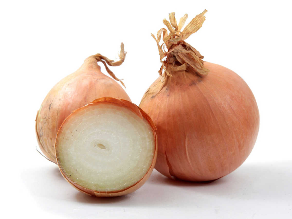 what-is-a-spanish-onion