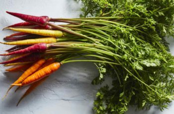 Is A Carrot A Fruit?