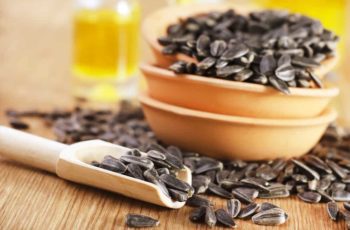 Can You Eat Sunflower Seed Shells? (Quick Facts)