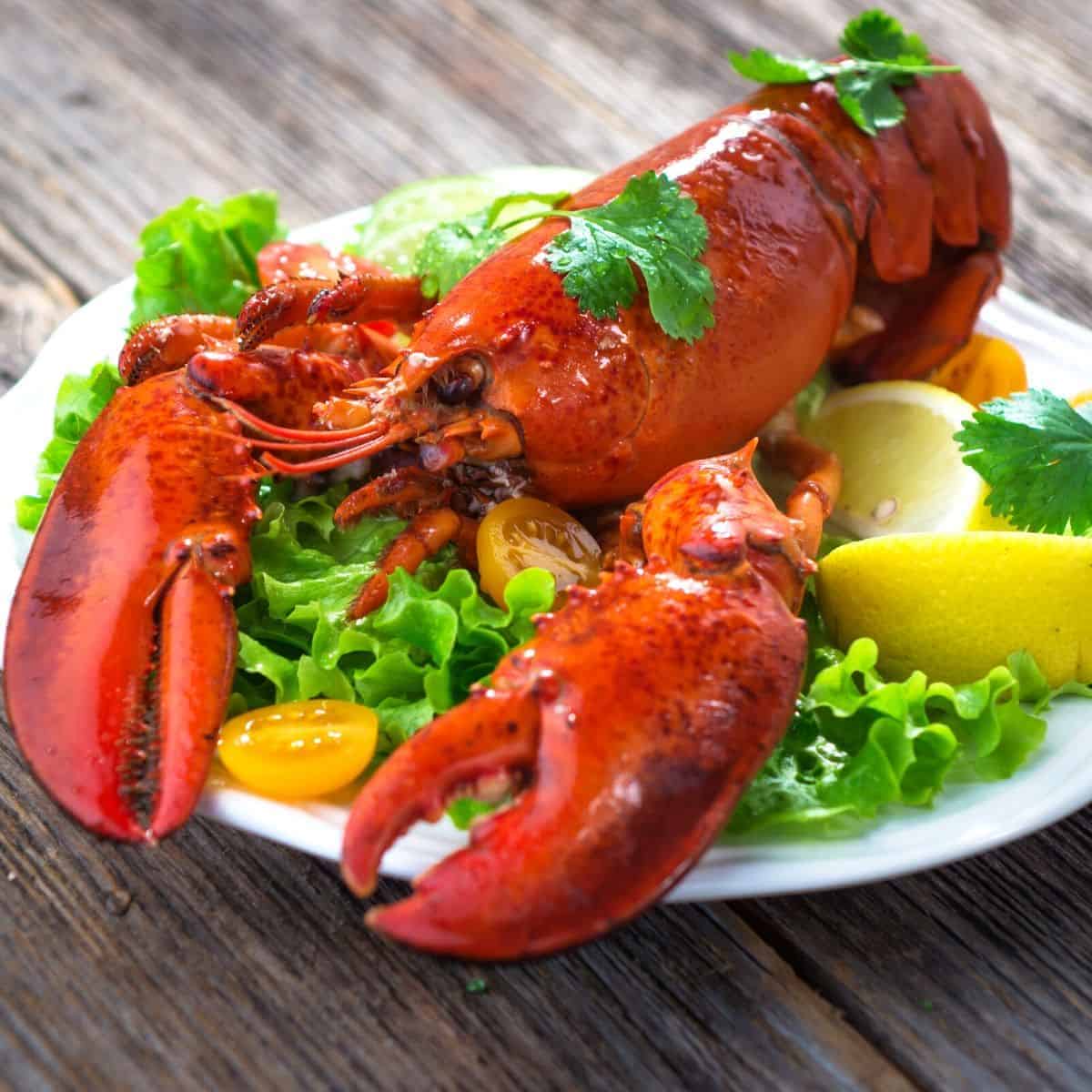 what-does-lobster-taste-like