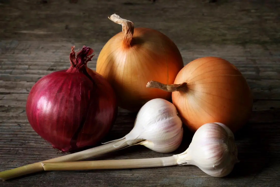 what-gives-onion-their-distinctive-smell