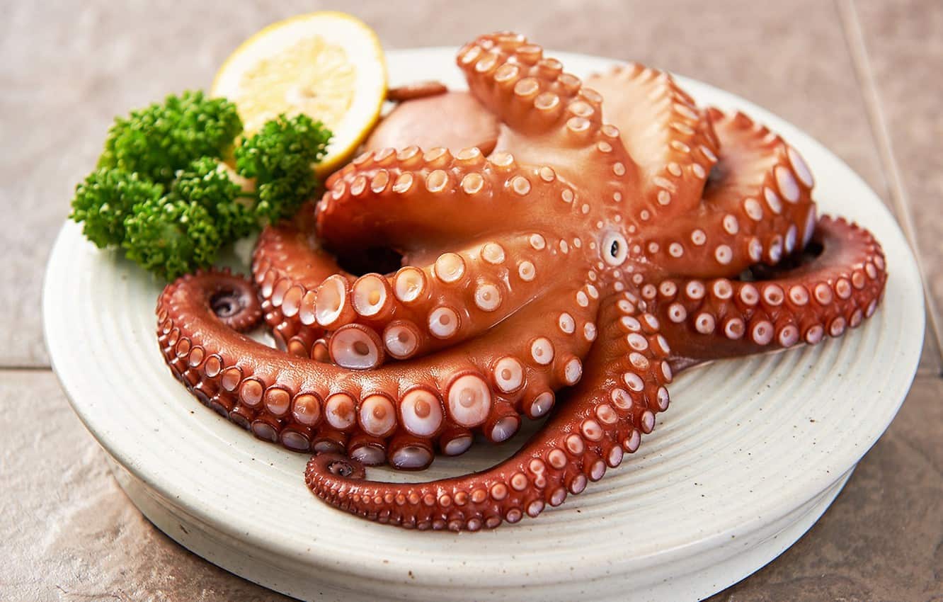 what-does-octopus-taste-like