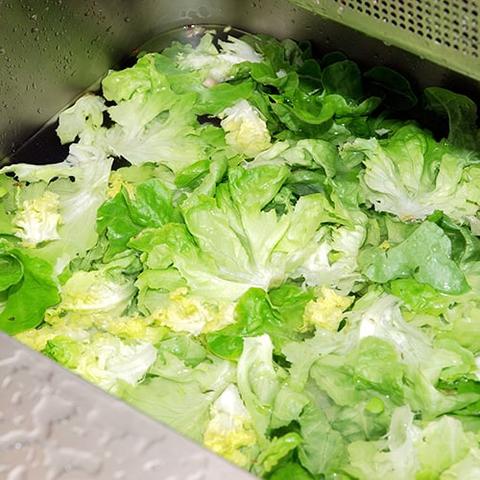 Can I clean bad lettuce? Can I clean bad lettuce?