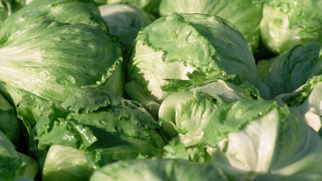 Should I avoid iceberg lettuce? Should I avoid iceberg lettuce?