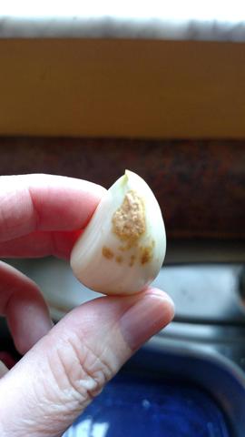 How to Properly Store Garlic How to Properly Store Garlic