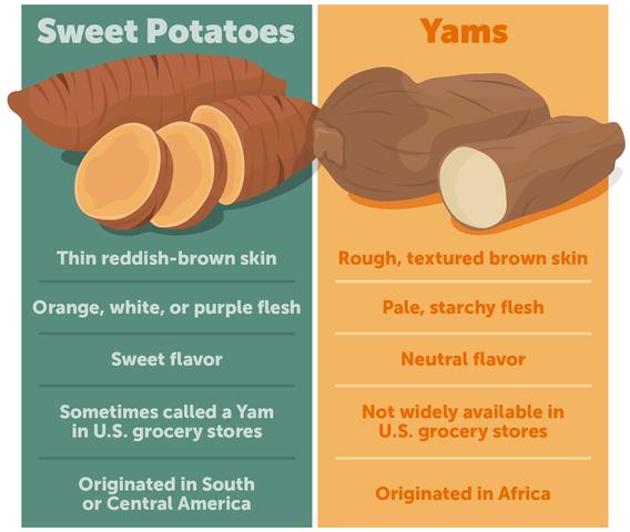 What Is the Difference Between A Sweet Potato and Yam? What Is the Difference Between A Sweet Potato and Yam?