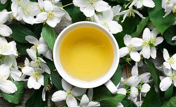Unlocking the Health Benefits of Caffeinated Jasmine Green Tea Unlocking the Health Benefits of Caffeinated Jasmine Green Tea