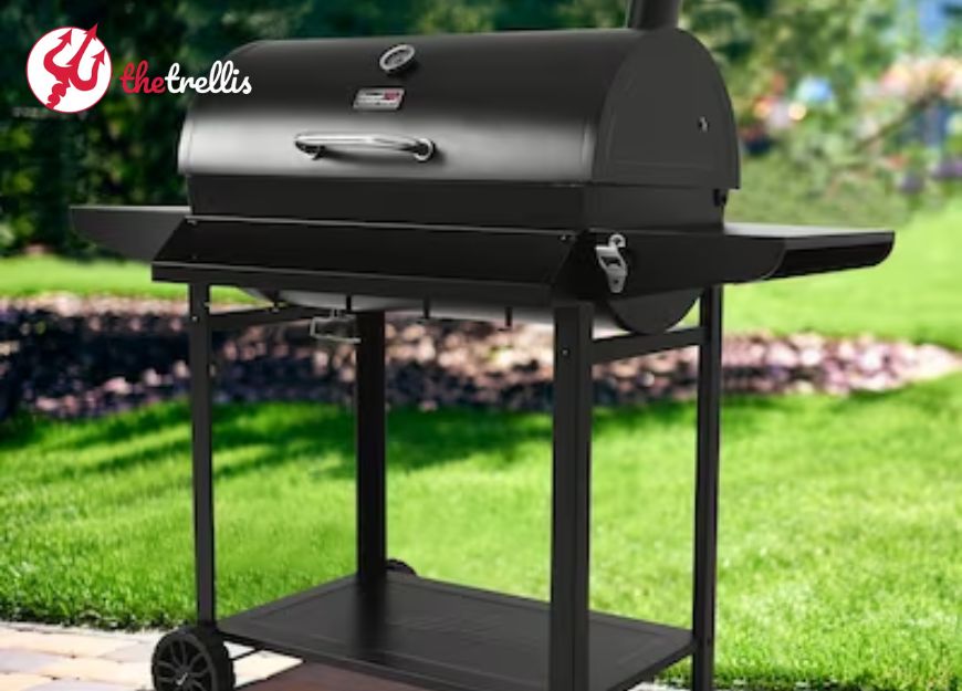 Why I Chose the CG3019S (And Why You Might Too)