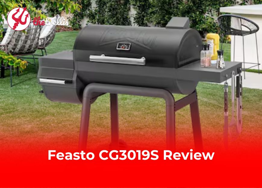 Feasto CG3019S Review