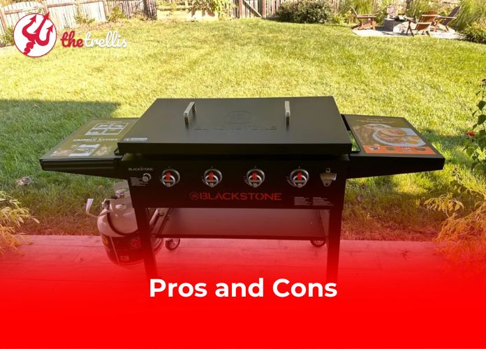 Pros and Cons