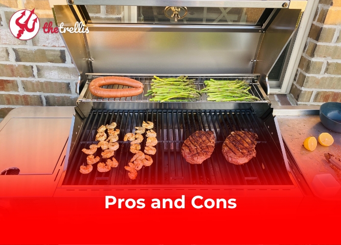 Pros and Cons