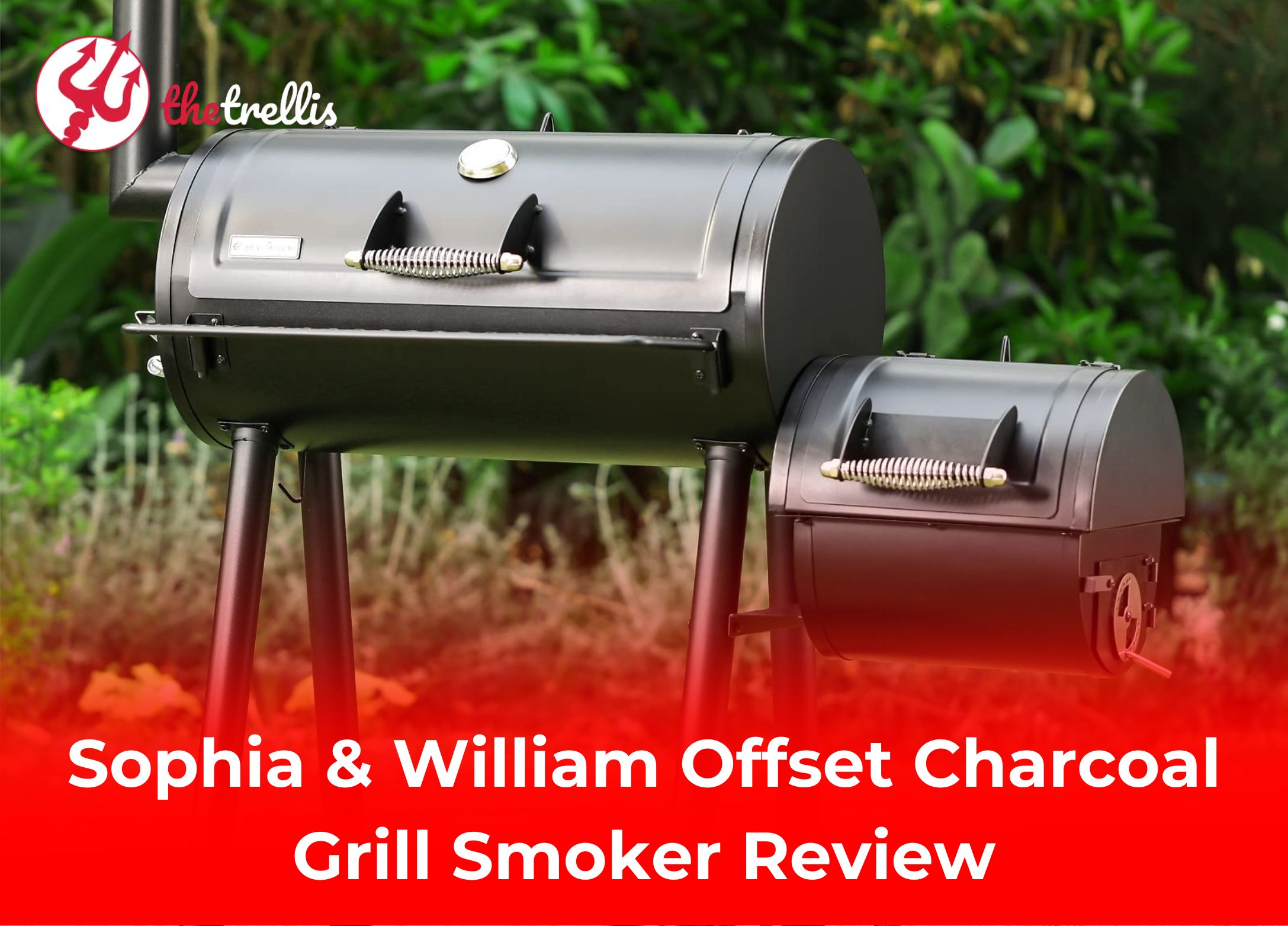 Sophia & William Offset Charcoal Grill Smoker Review 2025