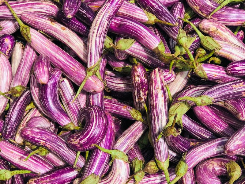 Fresh purple eggplants with green stems at market