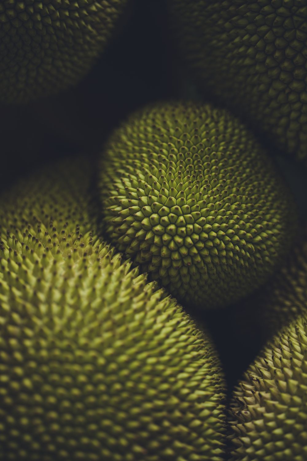 What Does Jackfruit Taste Like? Revealing Facts!
